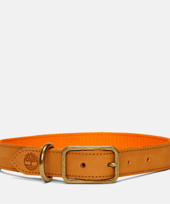 Timberland Men Accessories-Small Leather Dog Collar- TB0A2MRY231-timberlands boots